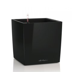 Lechuza CUBE 50 samozavlažovací květináč černá kompletní set