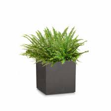 Lechuza CANTO STONE SQUARE 14 samozavlažovací květináč černá kompletní set