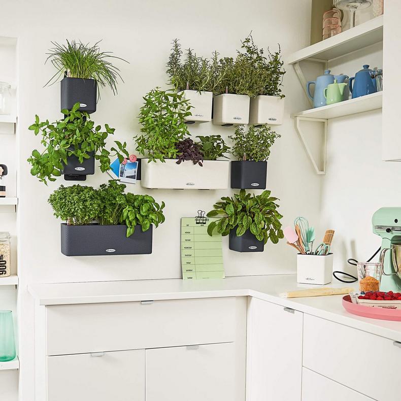 Lechuza CUBE GLOSSY GREEN WALL HOME WALL KIT samozavlažovací květináč scarlet kompletní set
