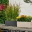 Samozavlažovací truhlík Lechuza BALCONERA STONE 50 černý kompletní set