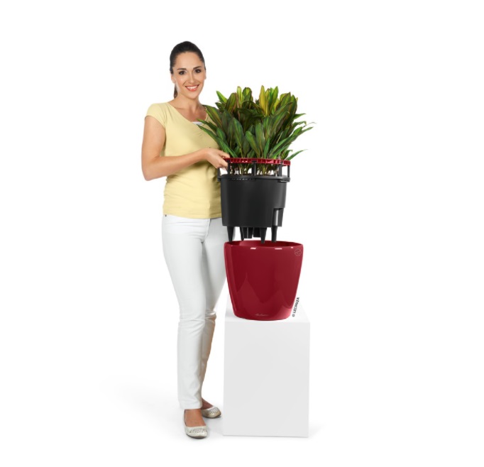 Lechuza CLASSICO LS 50 samozavlažovací květináč červená kompletní set