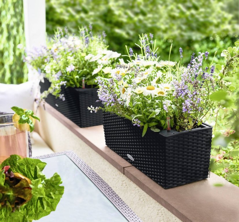 Samozavlažovací truhlík Lechuza BALCONERA COTTAGE 50 černá kompletní set