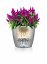 Lechuza CLASSICO 60 samozavlažovací květináč světle hnědá kompletní set