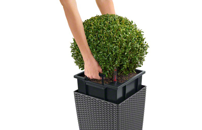 Lechuza CUBE COTTAGE 30 samozavlažovací květináč granitová kompletní set