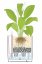 Lechuza CUBE COTTAGE 30 samozavlažovací květináč šedá kompletní set
