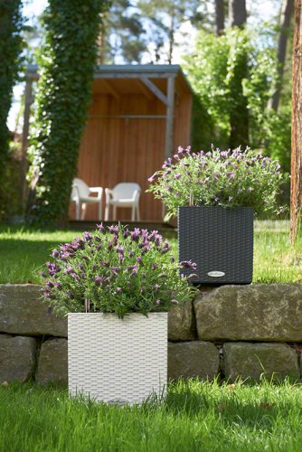 Lechuza CUBE COTTAGE 40 samozavlažovací květináč granitová kompletní set