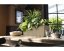 Samozavlažovací truhlík Lechuza BALCONERA STONE 100 šedá kompletní set