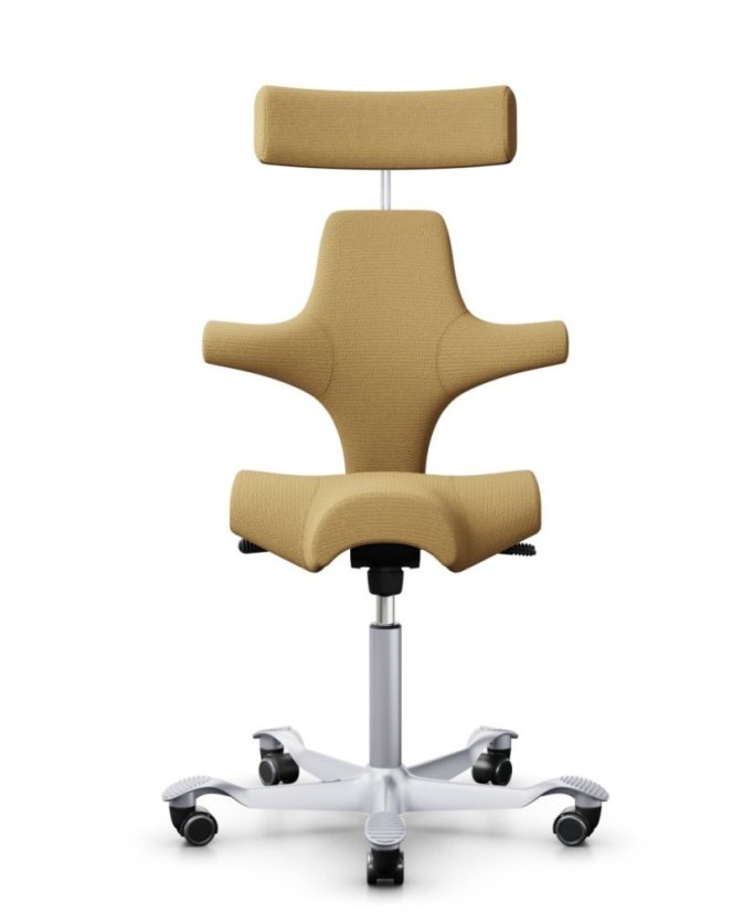Ergonomická kancelářská židle CAPISCO 8107