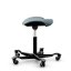 Ergonomická kancelářská stolička CAPISCO PULS 8002