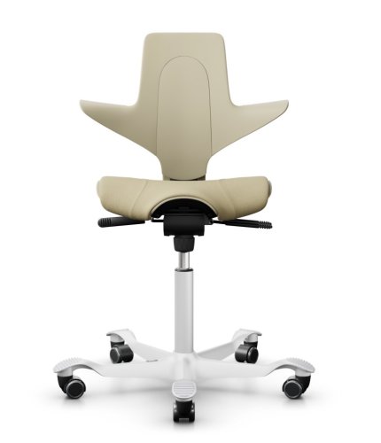 Ergonomická kancelářská židle CAPISCO PULS 8020