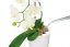 Lechuza MINI DELTINI samozavlažovací květináč bílá kompletní set