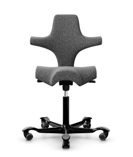 Ergonomická kancelářská židle CAPISCO 8106