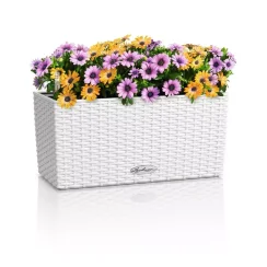 Samozavlažovací truhlík Lechuza BALCONERA COTTAGE 40 bílá kompletní set