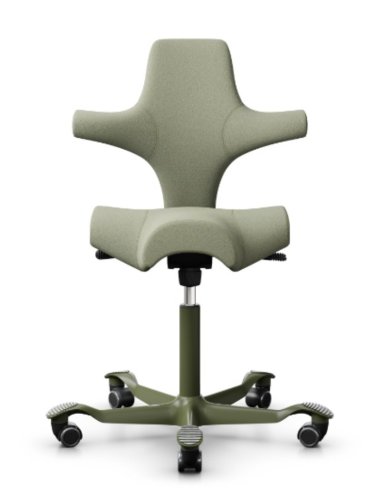 Ergonomická kancelářská židle CAPISCO 8106