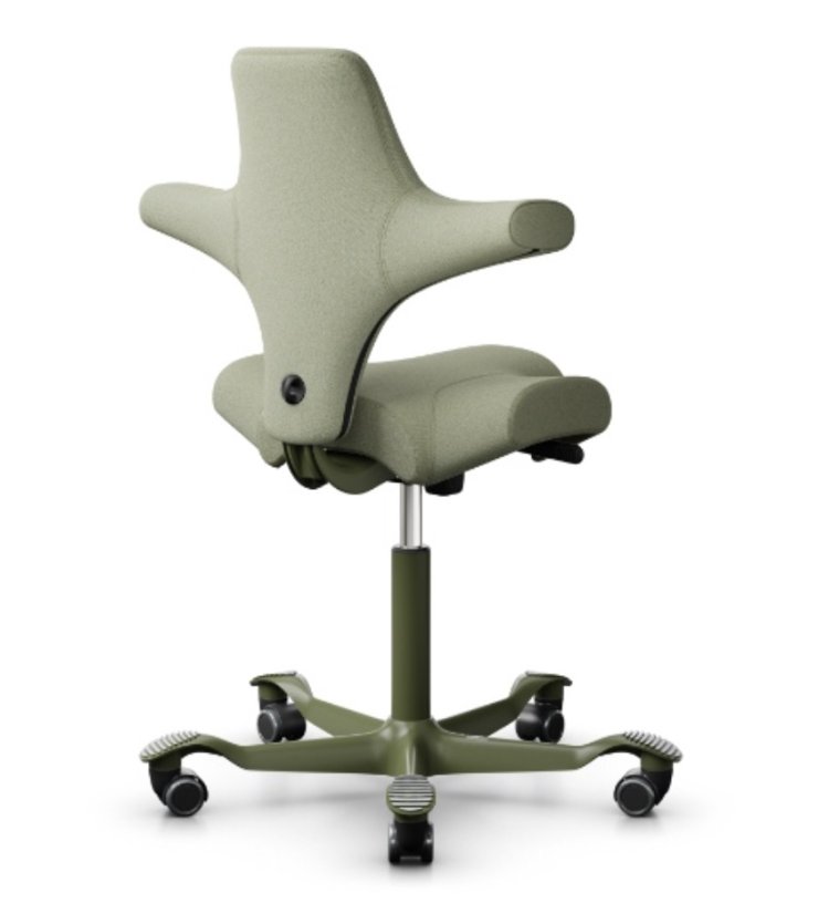 Ergonomická kancelářská židle CAPISCO 8106
