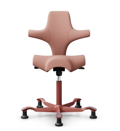 Ergonomická kancelářská židle CAPISCO 8106