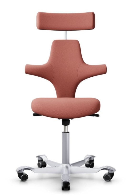Ergonomická kancelářská židle CAPISCO 8127