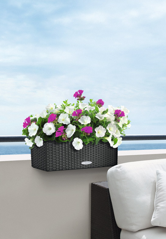 Samozavlažovací truhlík Lechuza BALCONERA COTTAGE 50 antracitová kompletní set