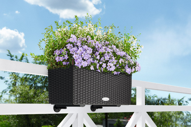 Samozavlažovací truhlík Lechuza BALCONERA COTTAGE 50 antracitová kompletní set
