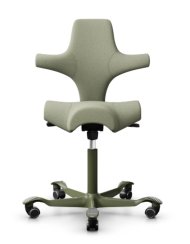 Ergonomická kancelářská židle CAPISCO 8106