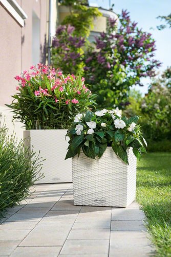 Lechuza CUBE COTTAGE 30 samozavlažovací květináč bílá kompletní set