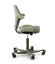 Ergonomická kancelářská židle CAPISCO 8106
