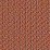 CPT4301 Coral