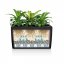 Lechuza CARARO 75 samozavlažovací květináč světle hnědá kompletní set