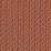 CPT4301 Coral