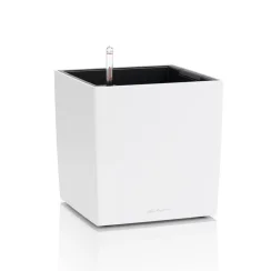 Lechuza CUBE Color 30 samozavlažovací květináč bílá kompletní set
