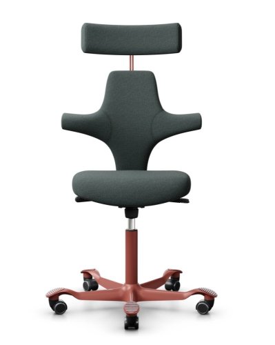 Ergonomická kancelářská židle CAPISCO 8127 - Provedení podnože Capisco 8127- bez příplatku: moos grey podnož CAPISCO 8127