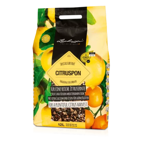 LECHUZA CITRUSPON 12L