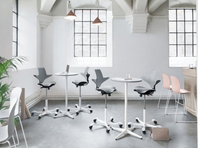 Ergonomická kancelářská židle CAPISCO PULS 8010 - Provedení podnože Capisco Puls 8010- bez příplatku: moos grey podnož CAPISCO PULS 8010