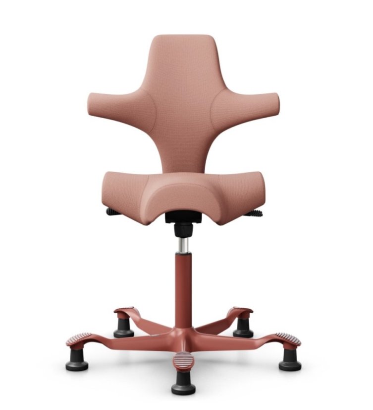 Ergonomická kancelářská židle CAPISCO 8106