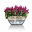 Lechuza CUBETO STONE 30 květináč samozavlažovací křemenová bílá kompletní set