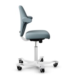 Ergonomická kancelářská židle CAPISCO 8126