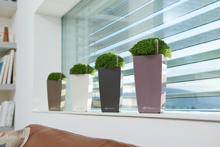 Lechuza MINI CUBI samozavlažovací květináč espresso kompletní set