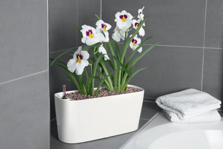 Lechuza DELTA 20 samozavlažovací květináč bílá kompletní set