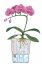 Lechuza DELTINI samozavlažovací květináč antracitová kompletní set