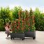 Lechuza TRIO COTTAGE 40 květináč samozavlažovací granitová kompletní set
