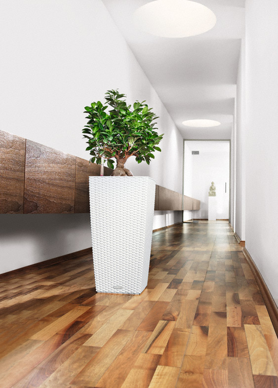Lechuza CUBICO COTTAGE 30 samozavlažovací květináč šedá kompletní set