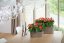 Lechuza DELTA 10 samozavlažovací květináč světle hnědá kmpletní set
