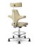 Ergonomická kancelářská židle CAPISCO 8127 - Provedení podnože Capisco 8127- bez příplatku: moos grey podnož CAPISCO 8127