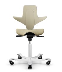 Ergonomická kancelářská židle CAPISCO PULS 8020
