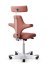Ergonomická kancelářská židle CAPISCO 8127 - Provedení podnože Capisco 8127- bez příplatku: moos grey podnož CAPISCO 8127