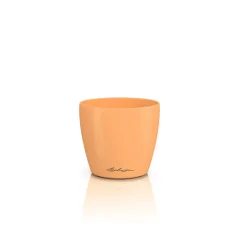 Lechuza DECO 10 papaja