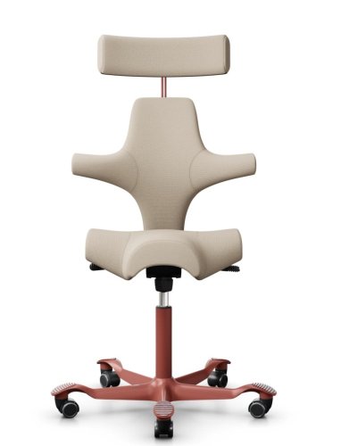 Ergonomická kancelářská židle CAPISCO 8107 - Provedení podnože Capisco 8107- bez příplatku: blush rose podnož CAPISCO 8107