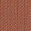 CPT4301 Coral