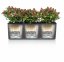 Lechuza TRIO COTTAGE 30 květináč samozavlažovací granitová kompletní set