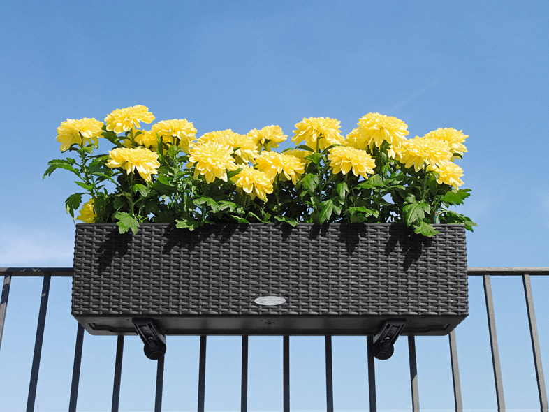 Samozavlažovací truhlík Lechuza BALCONERA COTTAGE 80 antracitová kompletní set